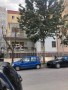 Ingrandisci IMG_2255.jpg