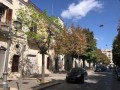 Ingrandisci 7.jpg