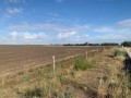 IMG_3973.jpg