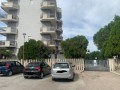 IMG_4014.jpg